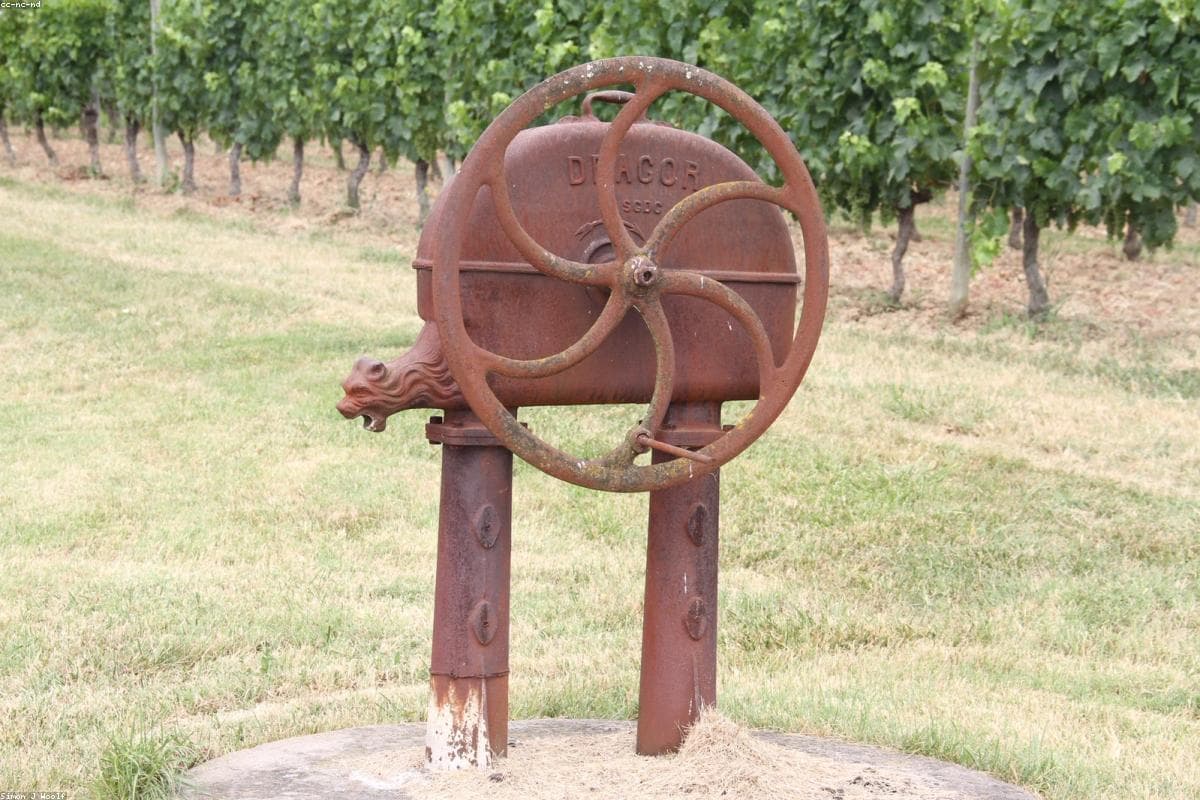 Saint-Émilion Vineyards & Medieval Village Day Trip