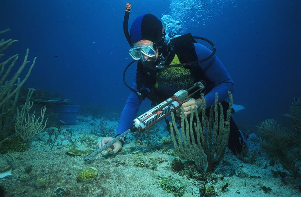 Isla Mujeres Catamaran Sail & Reef Snorkel
