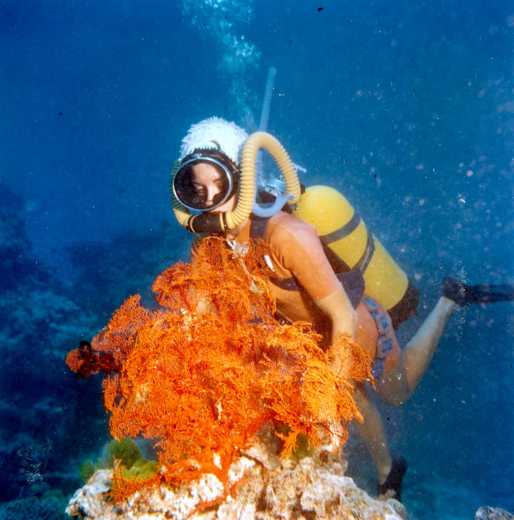Tulum Cenotes & Sea-Turtle Snorkel