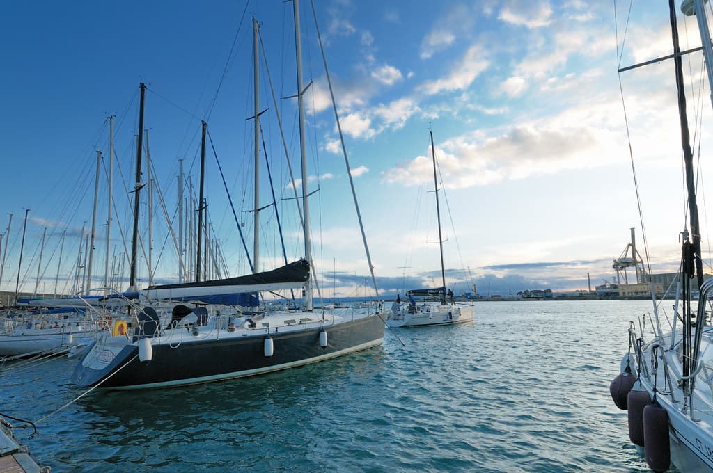 Banderas Bay Whale-Watching & Marine Life